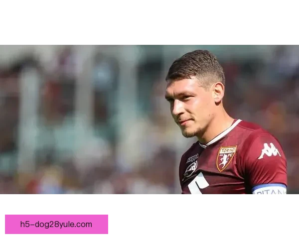 安莎社曝埃尔坎忧裁判问题致电