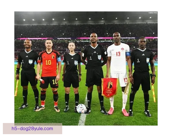 樋口梨花携手日本女足逐梦世界杯