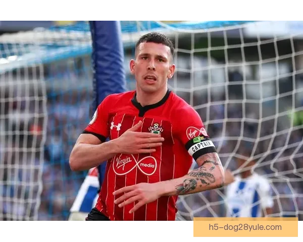 英超：伯恩茅斯以3比1 击退南安普敦